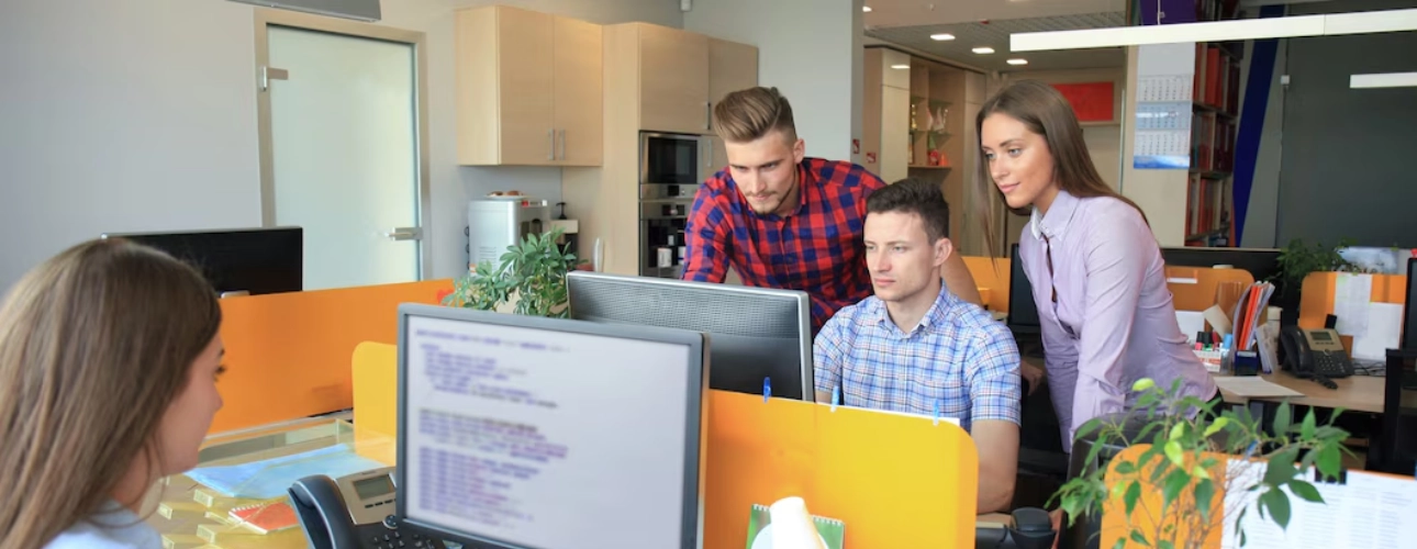 Software Company in Ilford, London Visual i